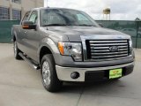 2010 Sterling Grey Metallic Ford F150 XLT SuperCrew #41534147