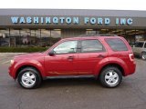2010 Sangria Red Metallic Ford Escape XLT 4WD #41631806