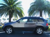 2002 Steel Grey Metallic BMW X5 3.0i #41631385