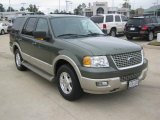 2005 Ford Expedition Estate Green Metallic