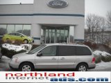 2004 Silver Birch Metallic Ford Freestar SES #41743106