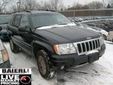 2004 Brillant Black Crystal Pearl Jeep Grand Cherokee Limited 4x4 #41790602