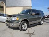 2003 Ford Expedition Estate Green Metallic