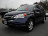 2010 Royal Blue Pearl Honda CR-V EX-L #41791415