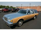 Buick Electra Colors