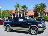 2009 Black Ford F150 King Ranch SuperCrew 4x4 #41865710