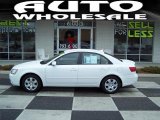 2010 Hyundai Sonata GLS
