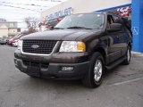 2006 Dark Stone Metallic Ford Expedition XLT 4x4 #41935302