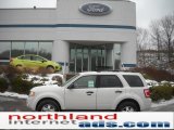 2011 White Suede Ford Escape XLT V6 4WD #42001412