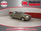 2006 Desert Green Metallic Suzuki Forenza Sedan #42099000