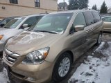 2005 Desert Rock Metallic Honda Odyssey Touring #42099402