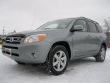 2006 Everglade Metallic Toyota RAV4 Limited 4WD #42134341