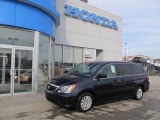 2008 Baltic Blue Pearl Honda Odyssey LX #42133937