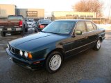 BMW 5 Series 1993 Data, Info and Specs