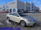 2010 Gold Leaf Metallic Ford Taurus Limited #42187788