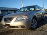 2010 Hyundai Sonata GLS