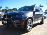 2011 Platinum Gray Metallic BMW X5 xDrive 35i #42187879