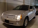 2008 Light Platinum Cadillac SRX V6 #42243707