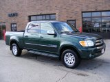 2004 Imperial Jade Mica Toyota Tundra SR5 Double Cab 4x4 #42378585