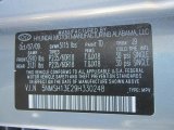 2009 Santa Fe Color Code for Platinum Sage - Color Code: TD