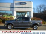 2010 Sterling Grey Metallic Ford F150 XLT SuperCrew 4x4 #42378612