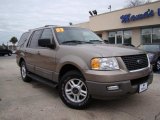 2003 Ford Expedition XLT Data, Info and Specs