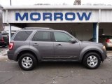 2010 Sterling Grey Metallic Ford Escape Limited V6 4WD #42517536