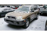 2001 Sandstone Hyundai Santa Fe GL #42517362