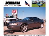 2004 Dark Shadow Grey Metallic Ford Mustang GT Coupe #42517633