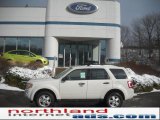 2011 White Suede Ford Escape XLT V6 4WD #42596334