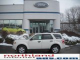 2011 White Suede Ford Escape XLT V6 4WD #42596336