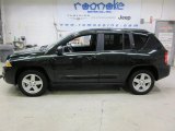 2010 Natural Green Pearl Jeep Compass Sport #42752608