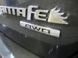 2010 Hyundai Santa Fe SE 4WD Marks and Logos