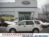 2011 White Suede Ford Escape XLT V6 4WD #42752483