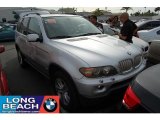 2004 Sterling Grey Metallic BMW X5 4.4i #42809286