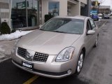 2005 Liquid Silver Metallic Nissan Maxima 3.5 SE #42809600