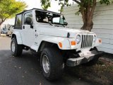 2004 Stone White Jeep Wrangler X 4x4 #42873556