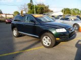 2004 Volkswagen Touareg V6