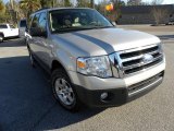 2007 Silver Birch Metallic Ford Expedition XLT #42990308