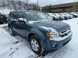 2011 Steel Blue Metallic Ford Escape XLT V6 4WD #42990057