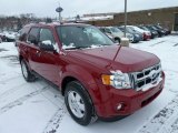 2011 Sangria Red Metallic Ford Escape XLT 4WD #42990060