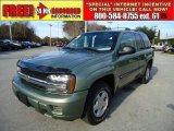 2003 Silver Green Metallic Chevrolet TrailBlazer LS #42990798