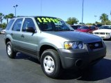 2006 Titanium Green Metallic Ford Escape XLS #429826