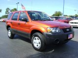 2006 Ford Escape XLS