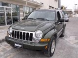 2007 Jeep Green Metallic Jeep Liberty Limited 4x4 #43185279