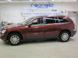 2007 Cognac Crystal Pearl Chrysler Pacifica Touring AWD #43254415