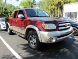 2003 Salsa Red Pearl Toyota Tundra SR5 Access Cab #43254135