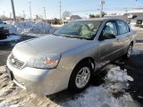2006 Silverstone Metallic Chevrolet Malibu LS Sedan #43254818
