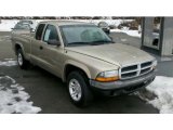 2004 Light Almond Pearl Metallic Dodge Dakota SXT Club Cab #43338588