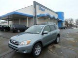 2006 Everglade Metallic Toyota RAV4 Limited 4WD #43339800